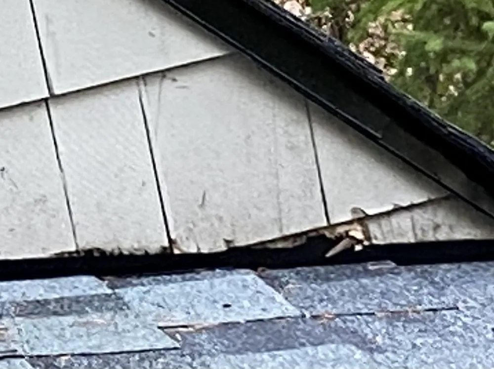 Slide of Esary Roofing & Siding