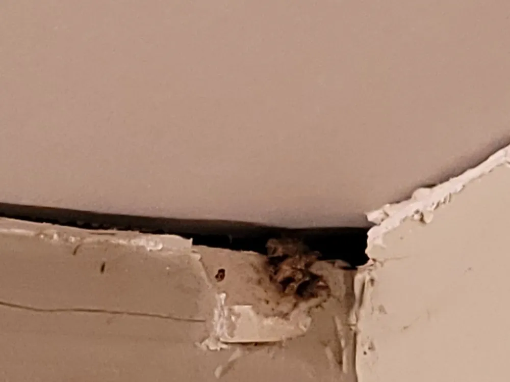 Slide of Escex Roofing and Restorations