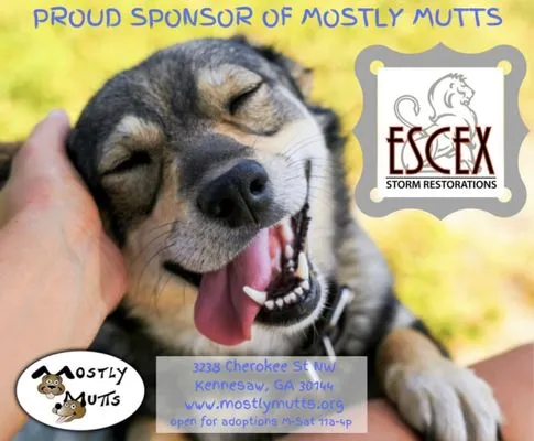 Escex Roofing and Restorations Logo