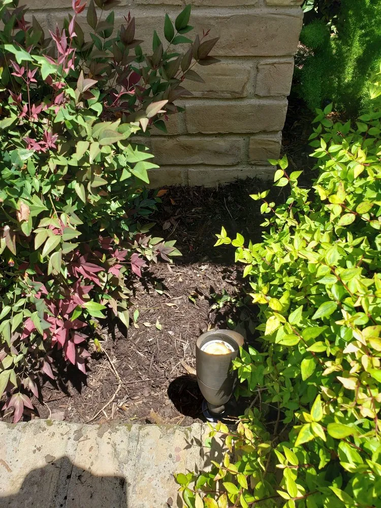 Slide of Escobar Painting