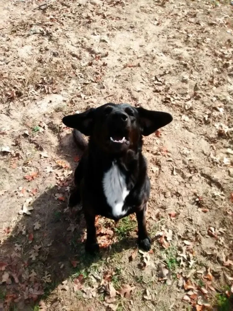 Slide of Estate Roofing