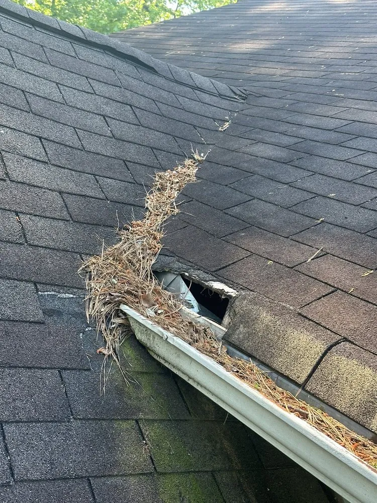 Slide of E&V Construction