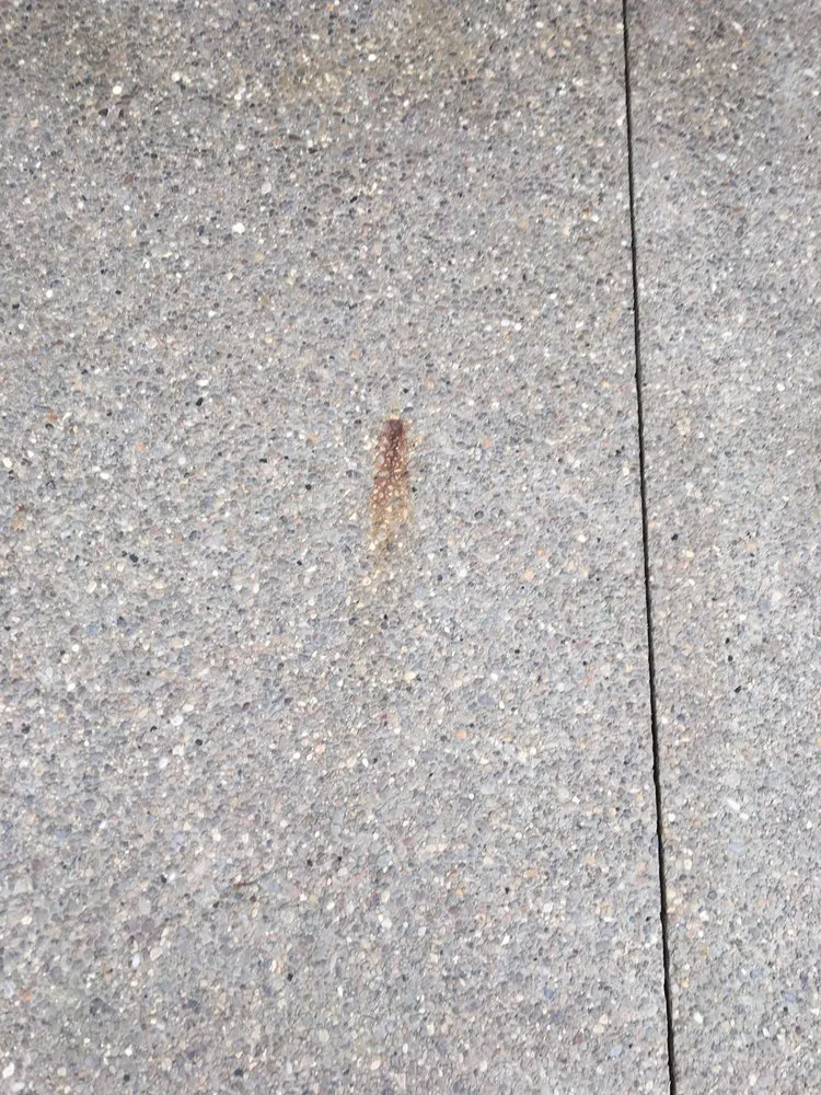 Slide of Evans Construction