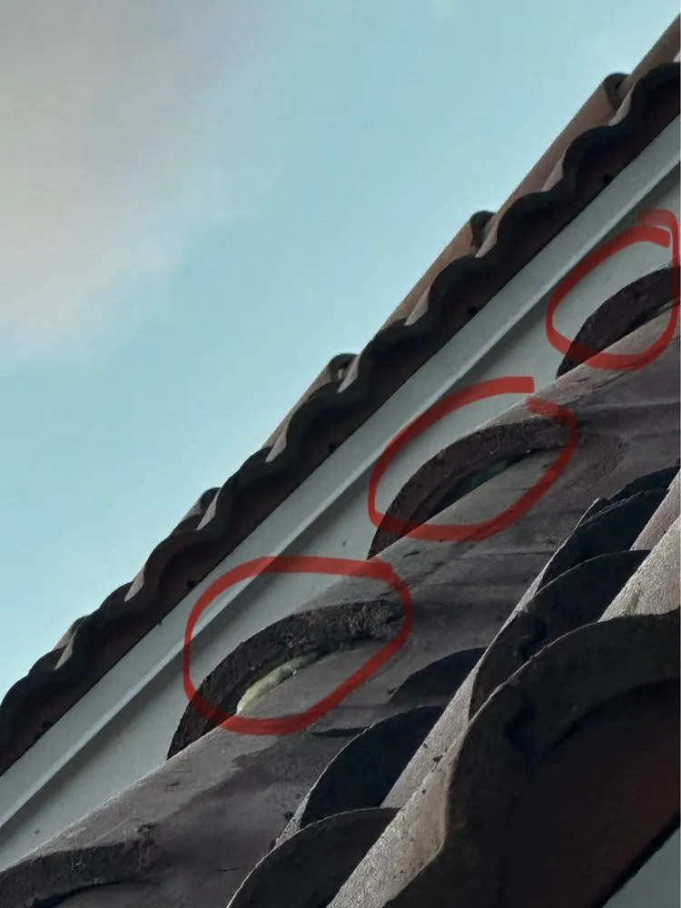 Slide of Evans Roofing