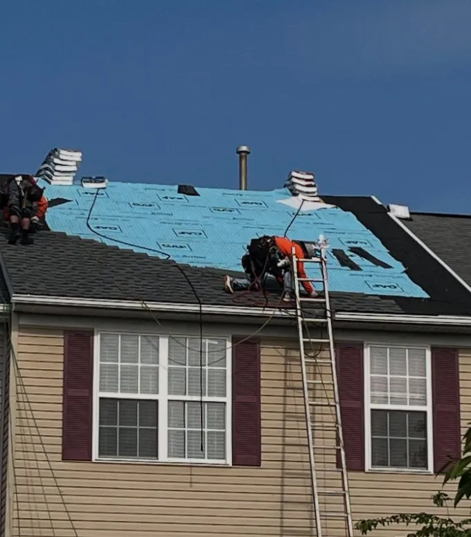 Slide of EverGreen Concepts