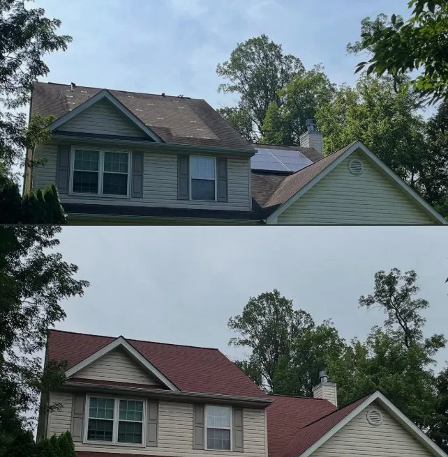 Slide of EverGreen Concepts