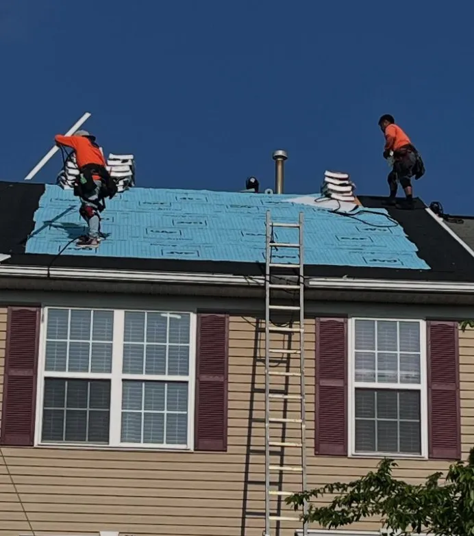 Slide of EverGreen Concepts