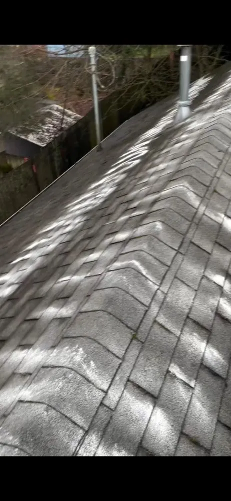 Slide of Evergreen Exterior Cleaning