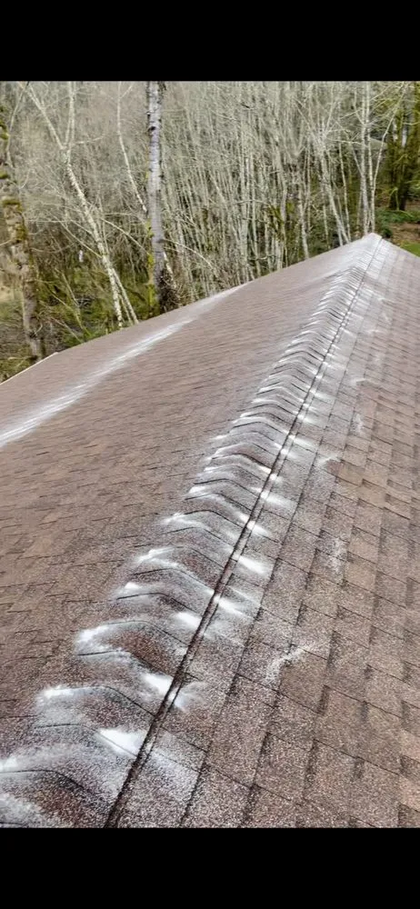 Slide of Evergreen Exterior Cleaning