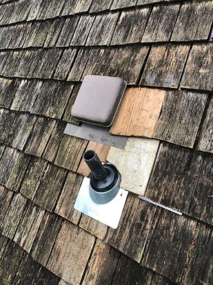 Slide of Evergreen Home Rescue