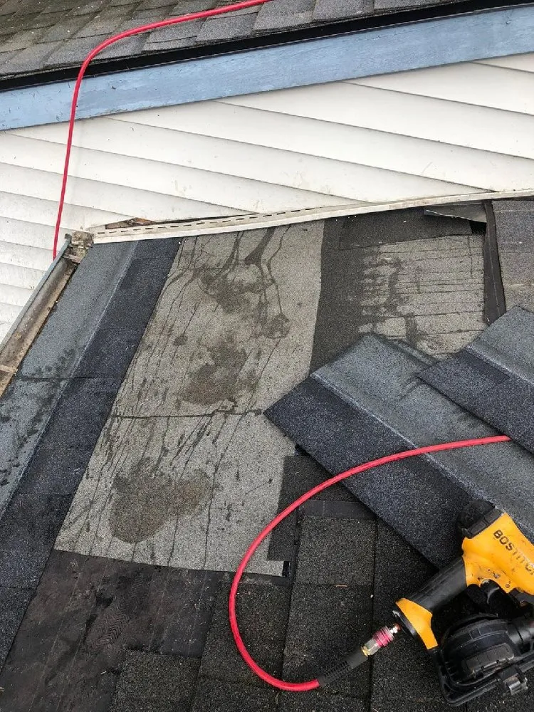 Slide of Evergreen Home Rescue