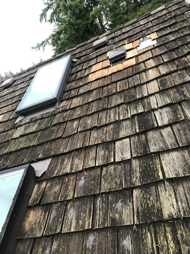 Slide of Evergreen Home Rescue