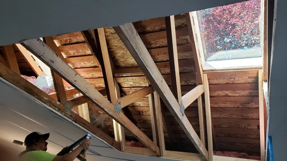 Slide of Evergreen Home Rescue