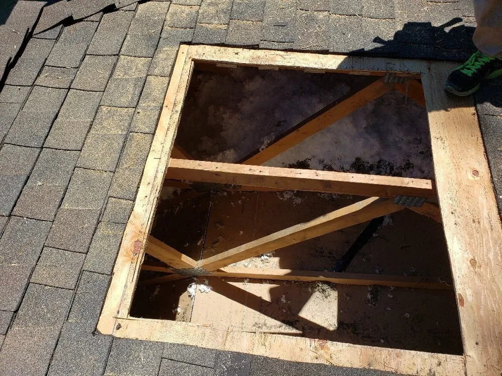 Slide of Evergreen Home Rescue