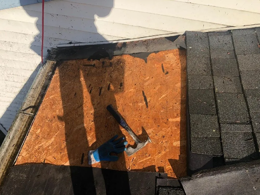 Slide of Evergreen Home Rescue