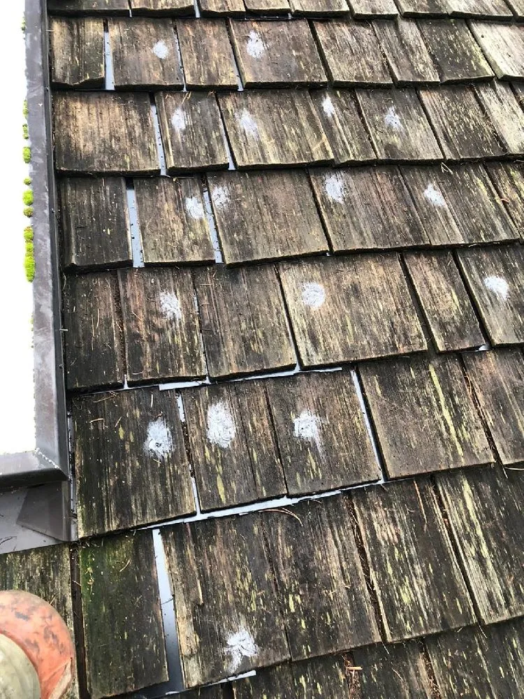 Slide of Evergreen Home Rescue