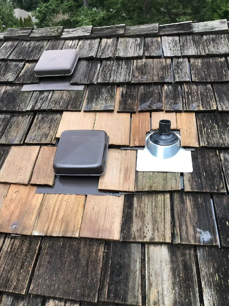 Slide of Evergreen Home Rescue