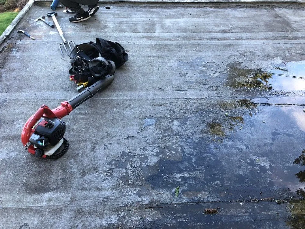 Slide of Evergreen Home Rescue