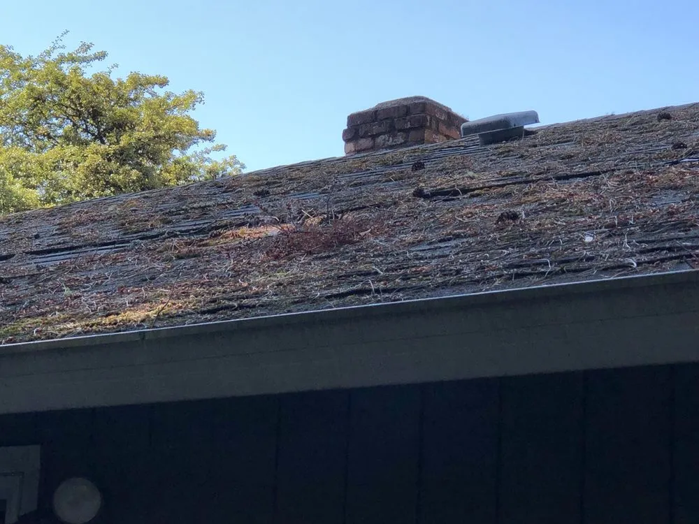 Slide of Evergreen Renovations & Roofing