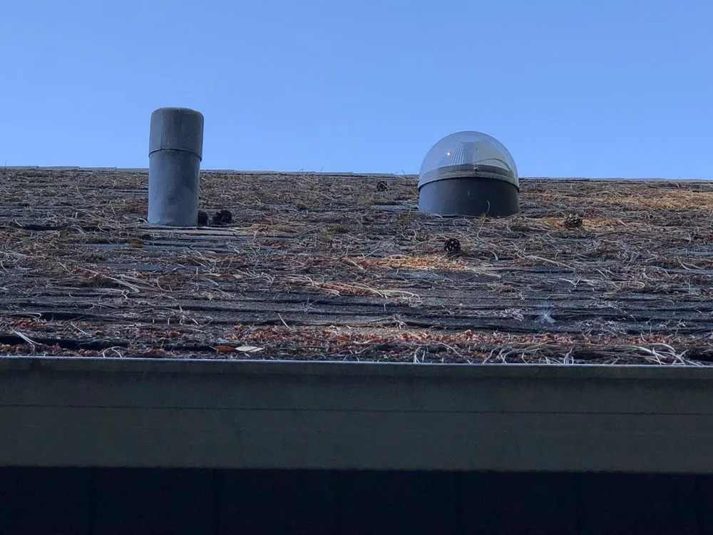 Slide of Evergreen Renovations & Roofing