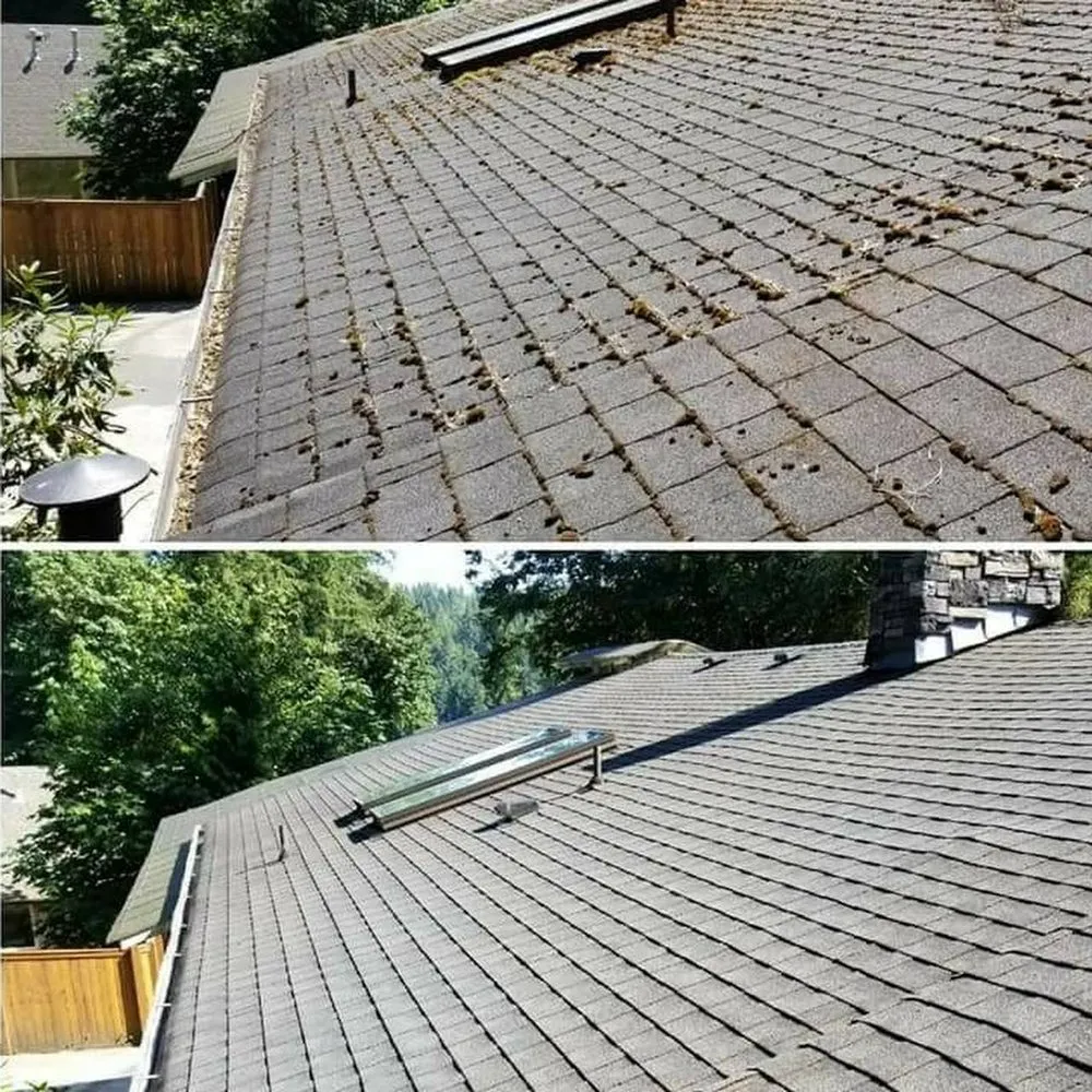 Slide of Evergreen Roof And Gutter Cleaning
