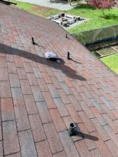 Slide of Evergreen Roofing