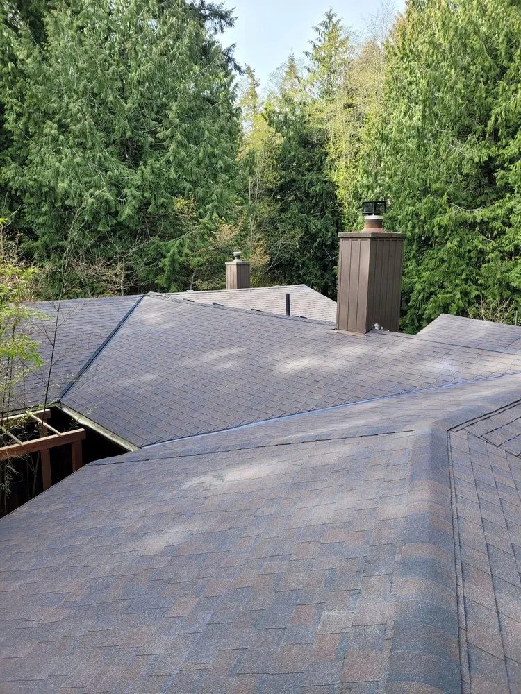 Reliable roof inspection in Sedro-Woolley, WA by Everlast roofing & Contracting