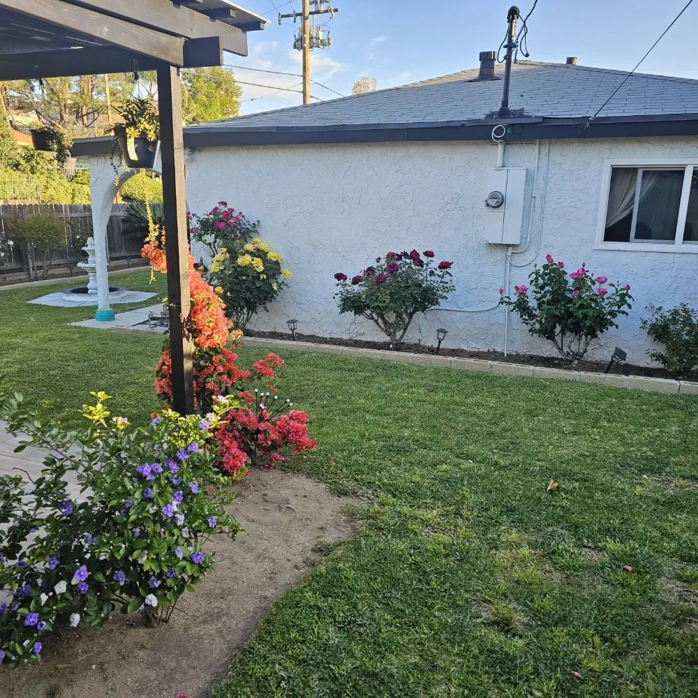 Slide of Everlasting Building