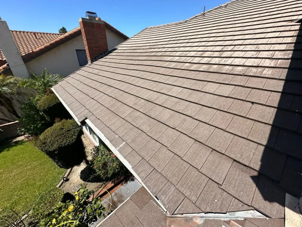 Slide of Everlasting Building