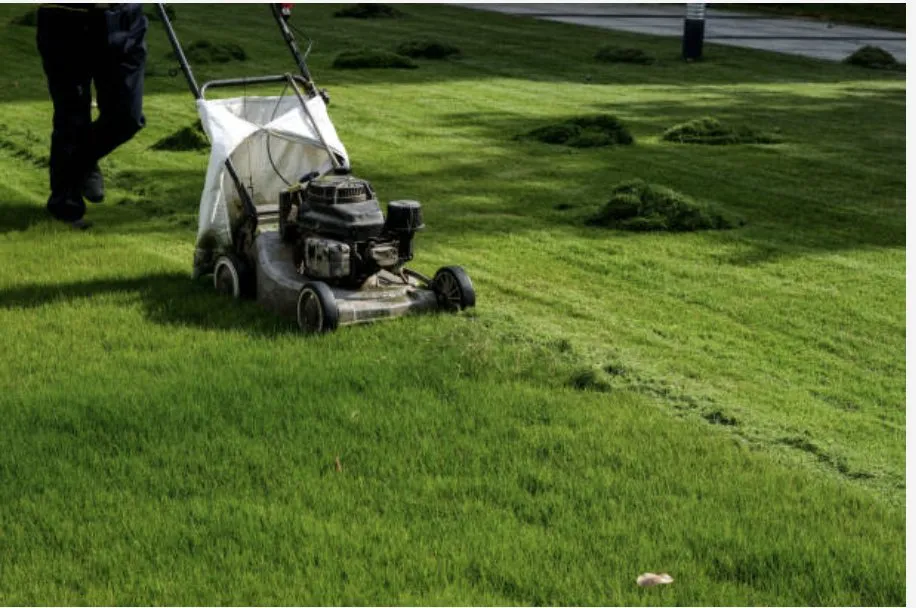 Slide of Everything Carpentry