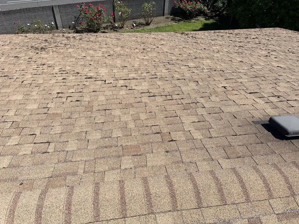 Slide of Evo Roofing & Gutter Cleaning