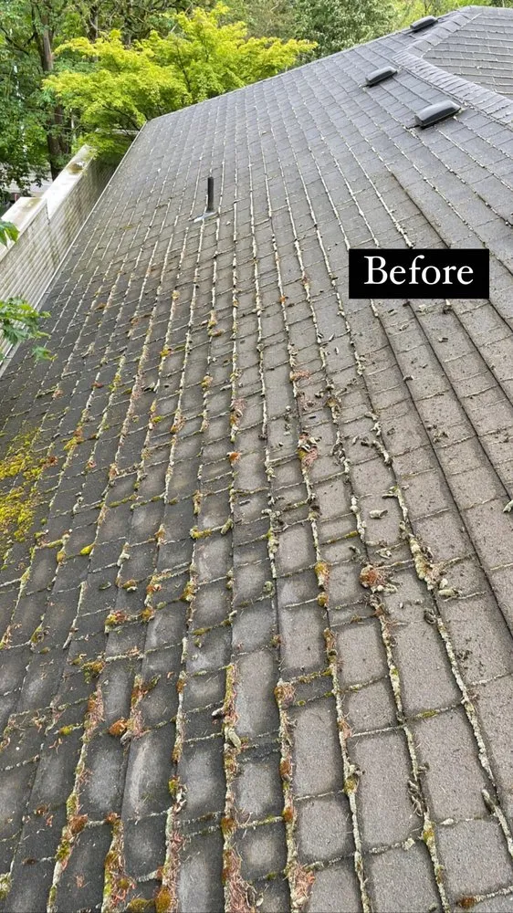 Slide of Evo Roofing & Gutter Cleaning