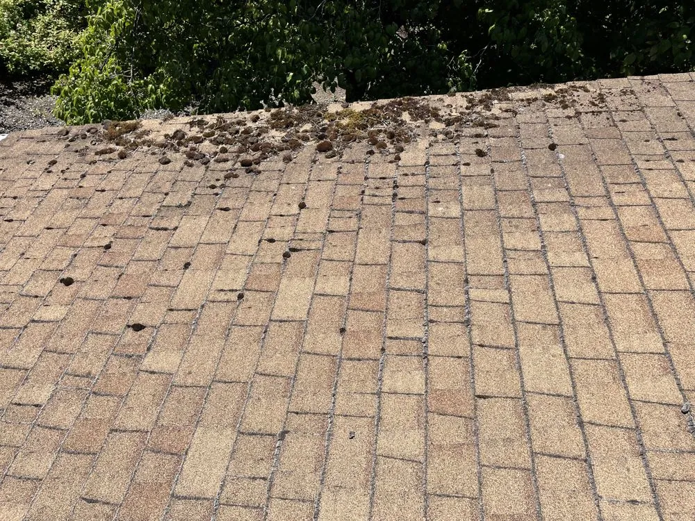 Slide of Evo Roofing & Gutter Cleaning