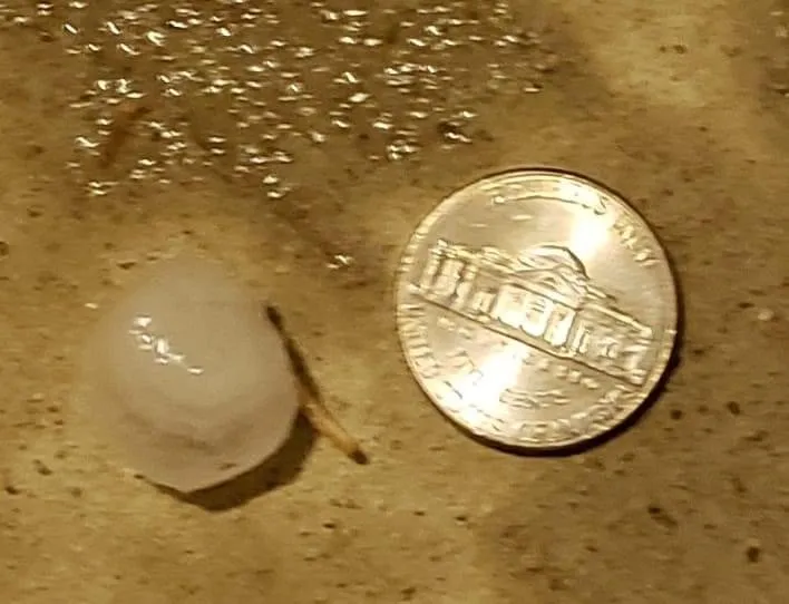 Slide of Evolution Contractors