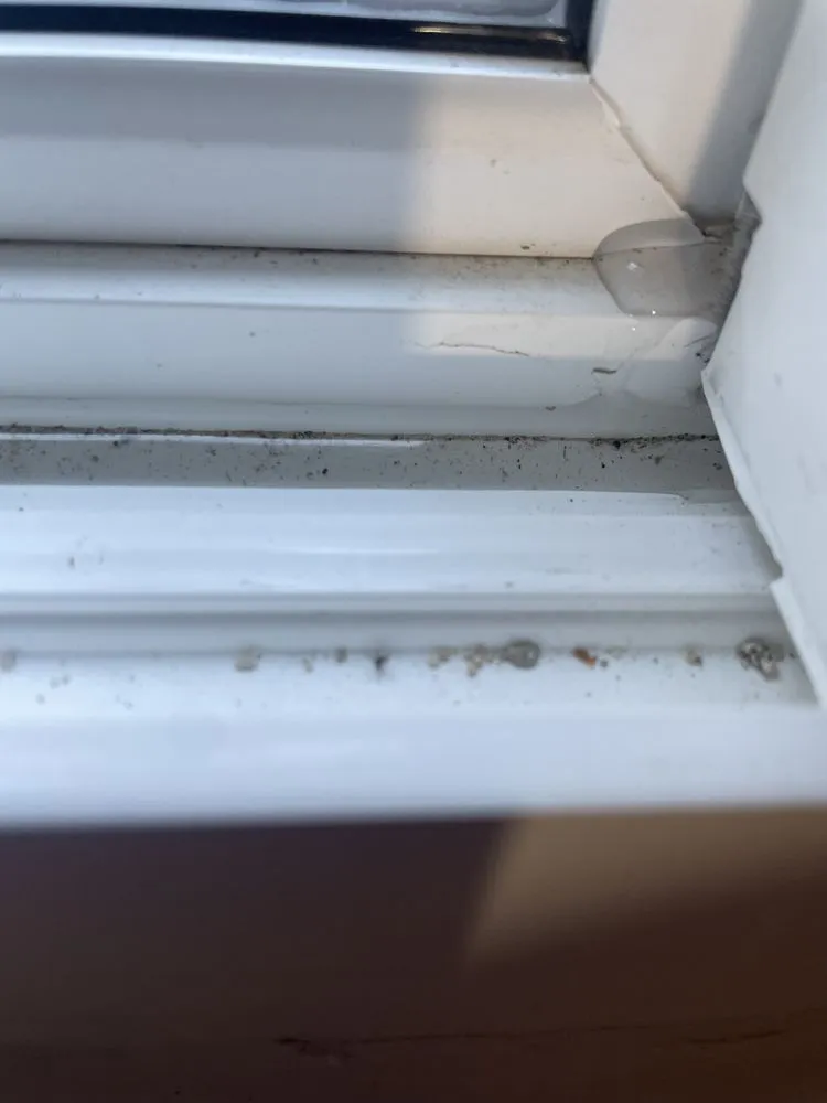 Slide of Excel Custom Contractors