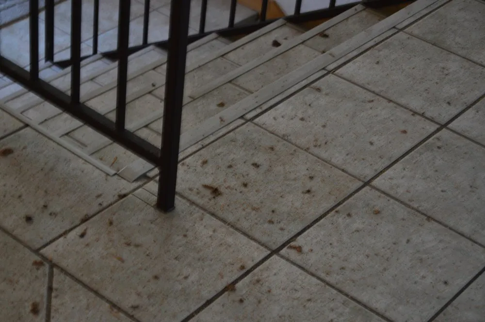 Slide of Excel Roofing