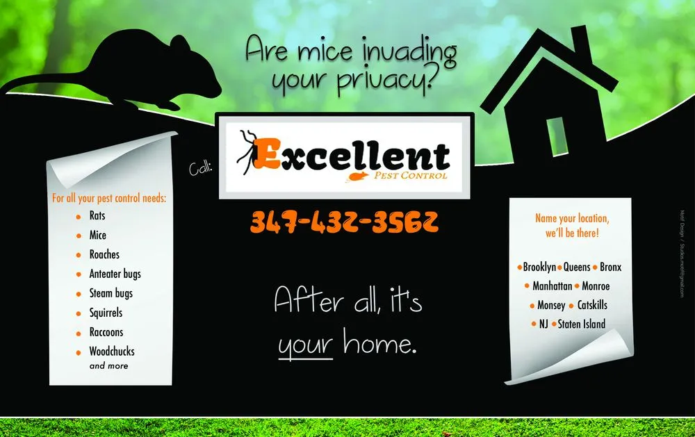 Reliable storm damage roof repair for fast service across Brooklyn,, NY - Excellent Mice Proofing