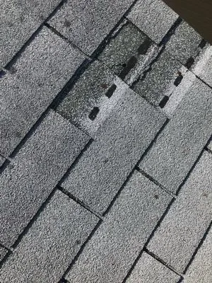 Excellent Roofing and Chimney Logo