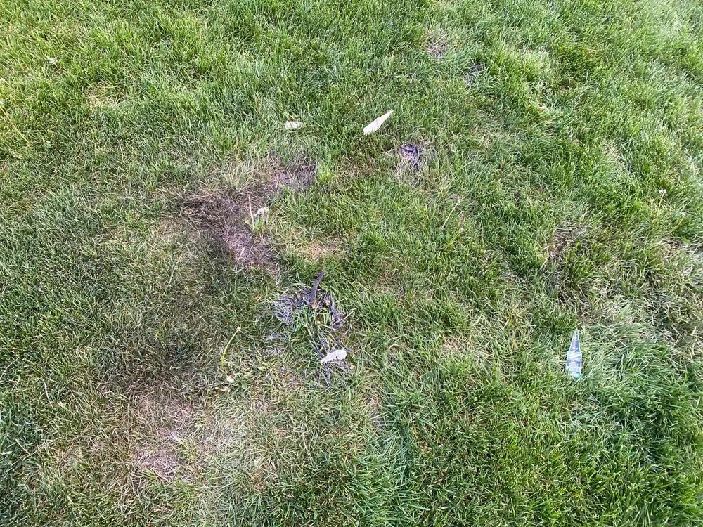 Slide of Excelsior Exteriors