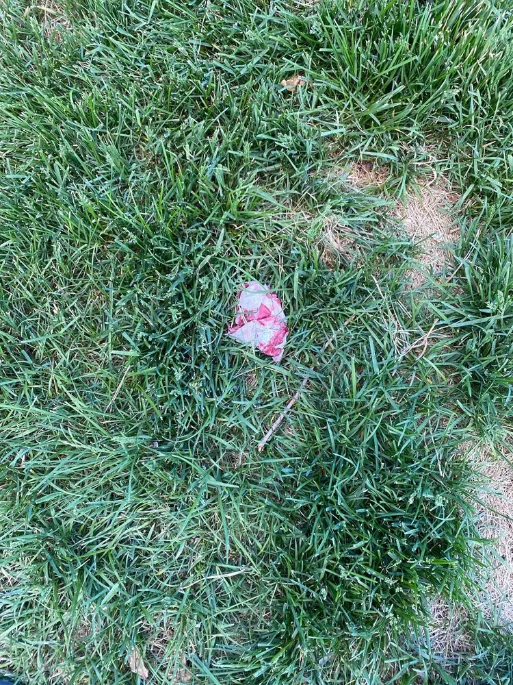 Slide of Excelsior Exteriors