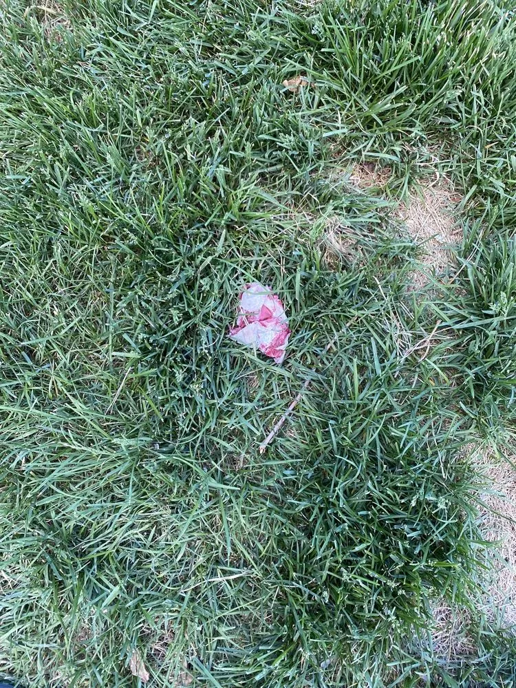 Slide of Excelsior Exteriors