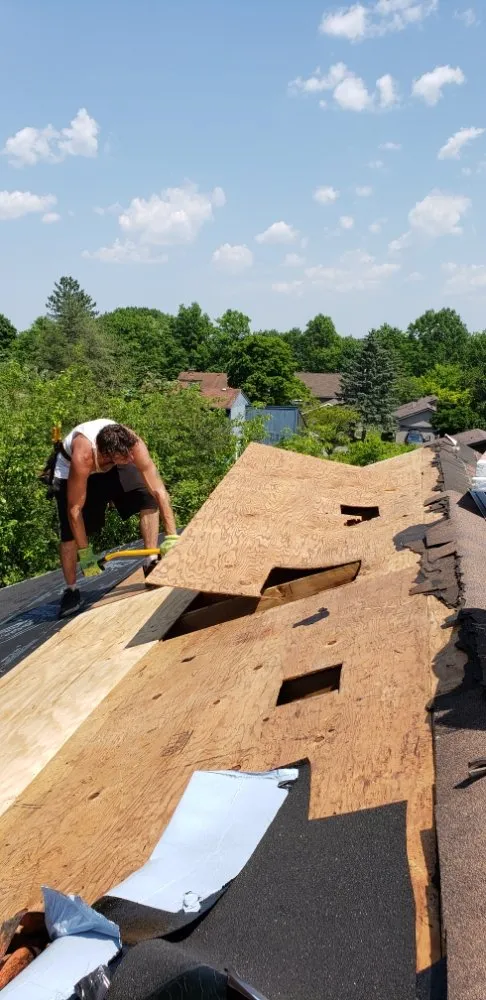 Slide of Exclusive Improvements