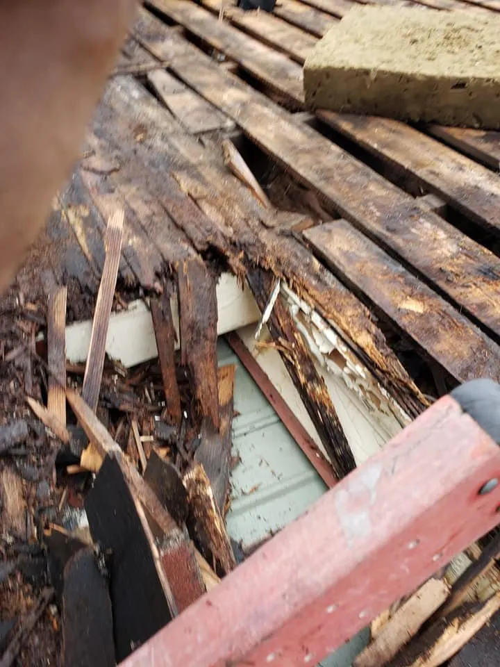 Slide of Exclusive Improvements