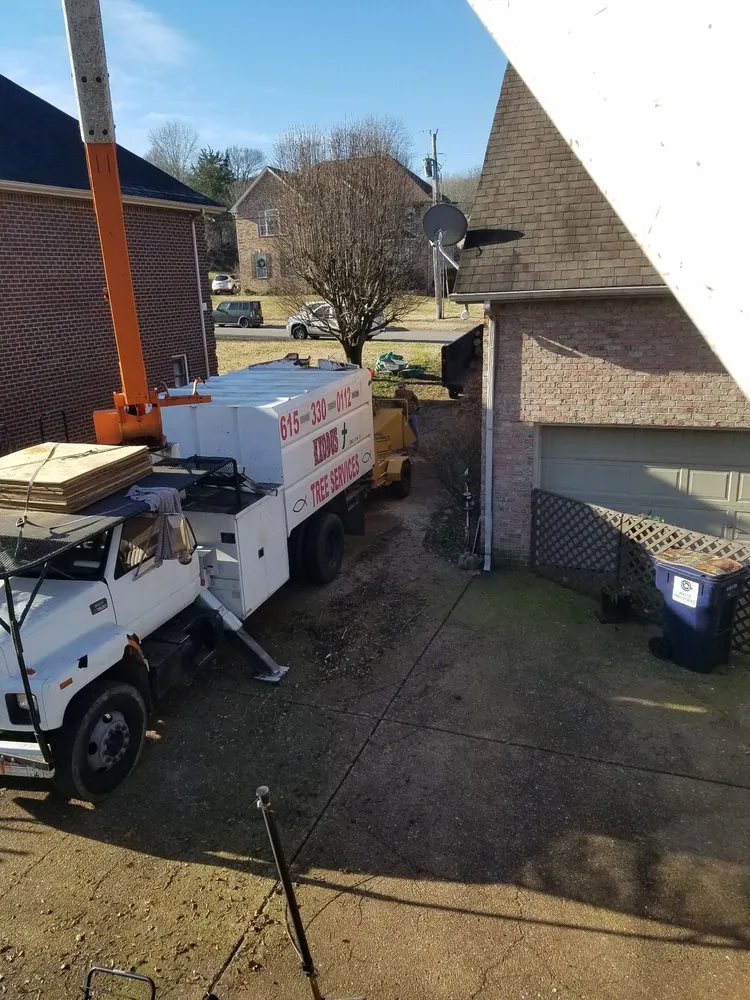 Reliable roof replacement after storm damage in Mt Juliet, TN by Exodus Tree Service