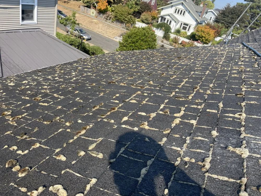 Slide of Experienced Roof & Gutter Cleaning