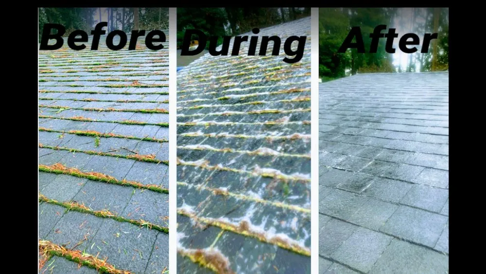 Slide of Experienced Roof & Gutter Cleaning