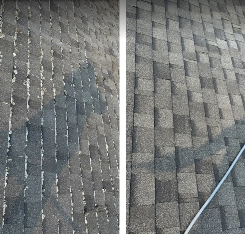 Slide of Experienced Roof & Gutter Cleaning