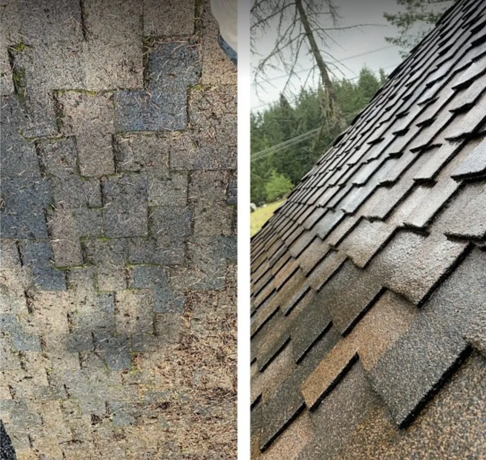 Slide of Experienced Roof & Gutter Cleaning