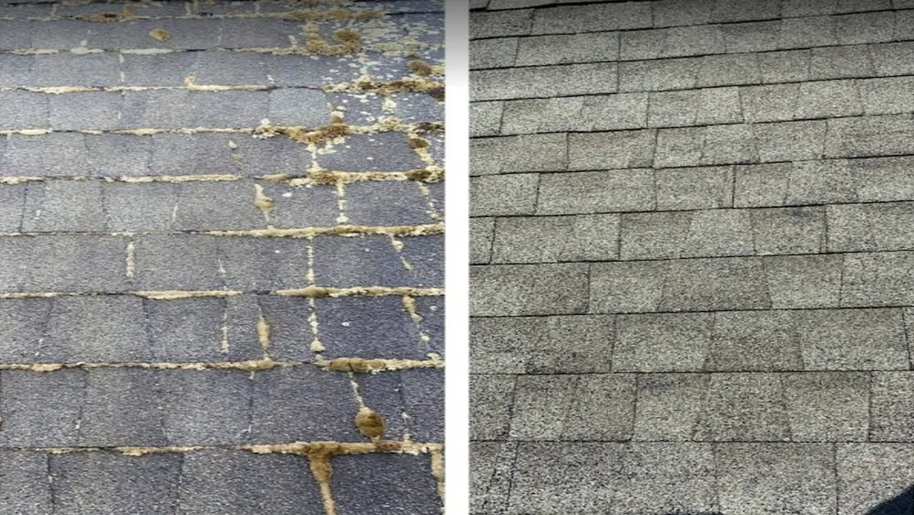 Slide of Experienced Roof & Gutter Cleaning