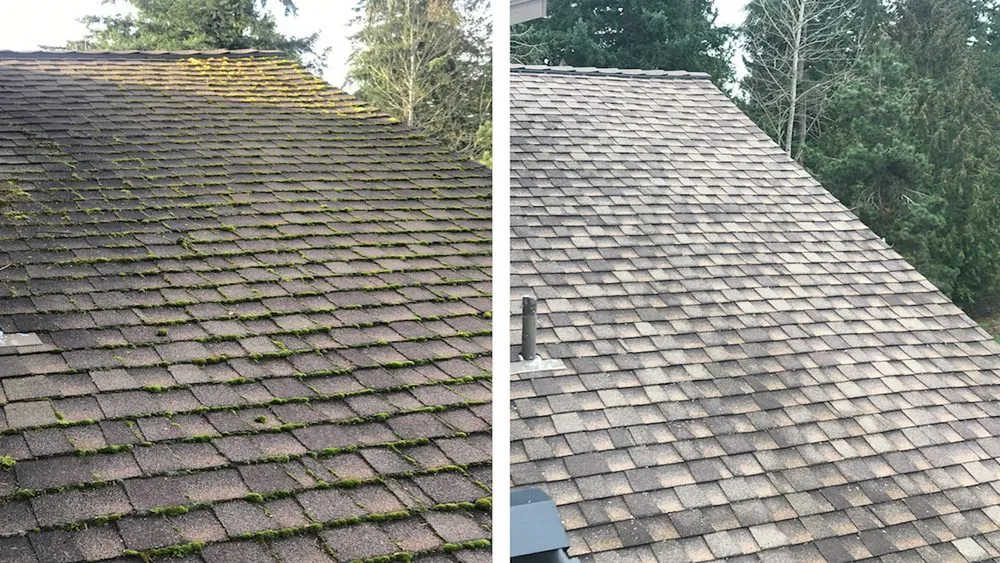Slide of Experienced Roof & Gutter Cleaning